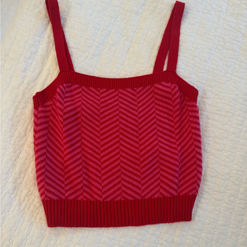 Sincerely Jules Red Ribbed Crop Tank Top